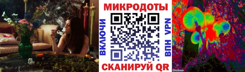 Псилоцибиновые грибы MAGIC MUSHROOMS  Купить закладки  Мегион 